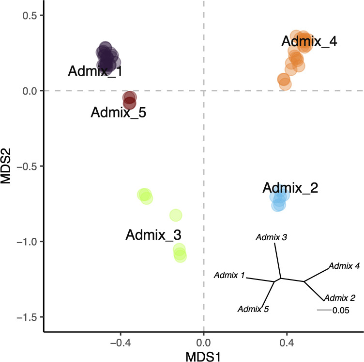 Genetic clustering within massive Porites species complex is the primary driver of holobiont assembly.