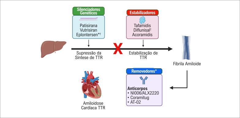 Patisiran in the Treatment of Cardiac Amyloidosis: Good for the World and Good for Brazil.