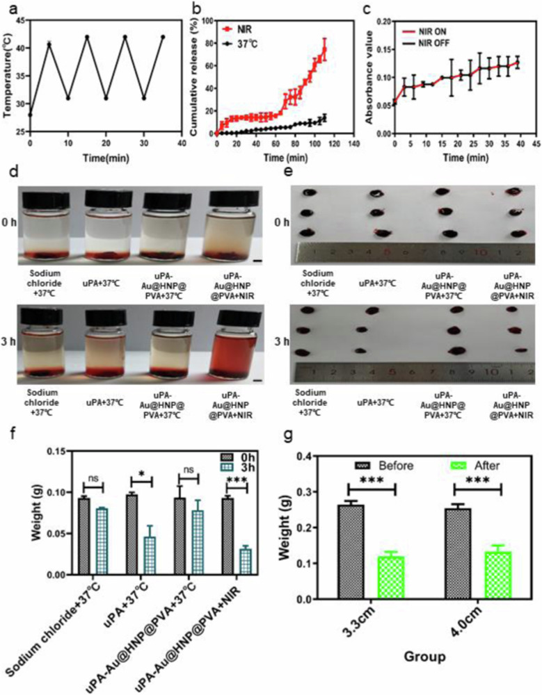 Thrombolytic therapy of human black hair and Au drug-loaded nanocapsules in vivo and in vitro based on near infrared II laser response