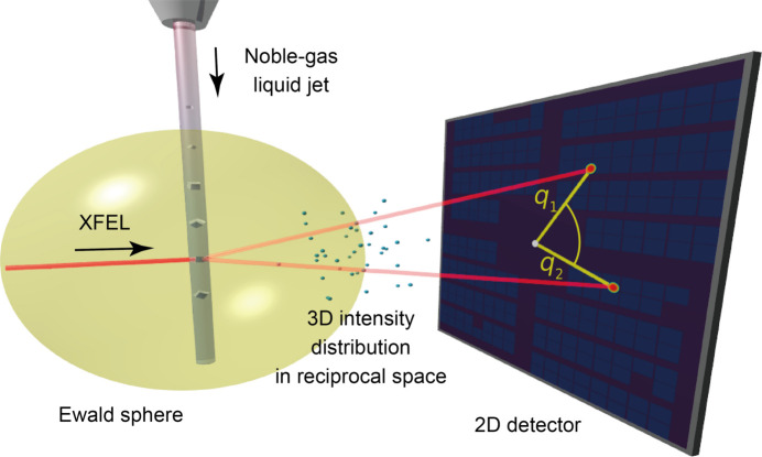 Femtosecond X-rays illuminate disordered states during the early stages of crystallization