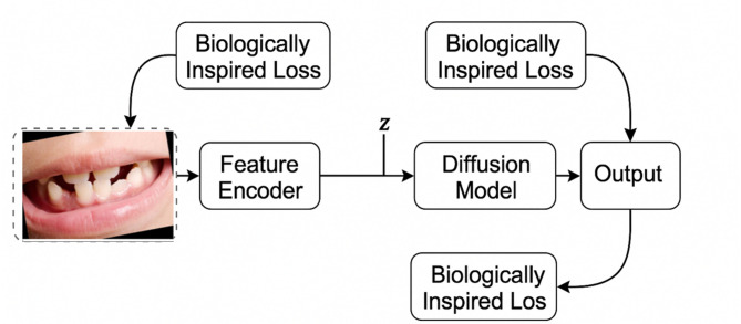 DentoMorph-LDMs: diffusion models based on novel adaptive 8-connected gum tissue and deciduous teeth loss for dental image augmentation.