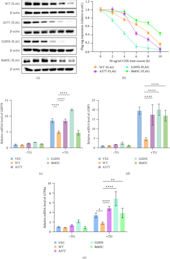 Topology of <i>WFS1</i> Variants Linked With Islet Function and Higher Risk of Urological Symptoms in <i>WFS1</i>-Associated Disease.