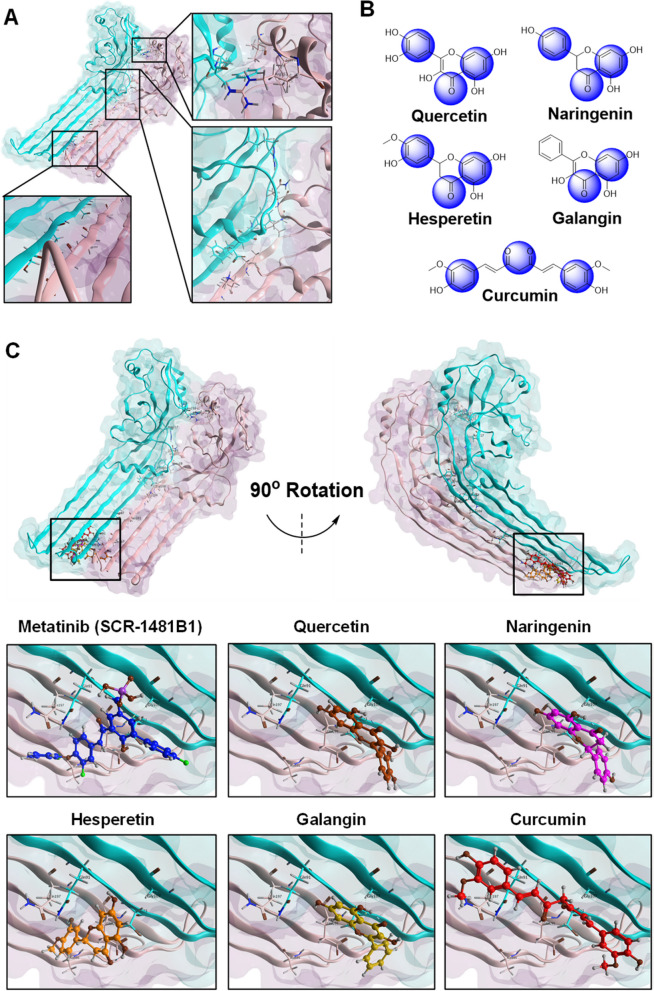 Discovery of pyroptosis-inducing natural products in neuroblastomas: computational studies with experimental validation.