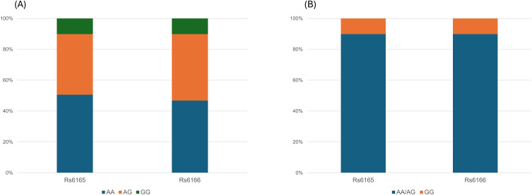 The Impact of FSHR Polymorphisms (rs6165 and rs6166) on Ovarian Response to Stimulation in Infertile Women with Diminished Ovarian Reserve.