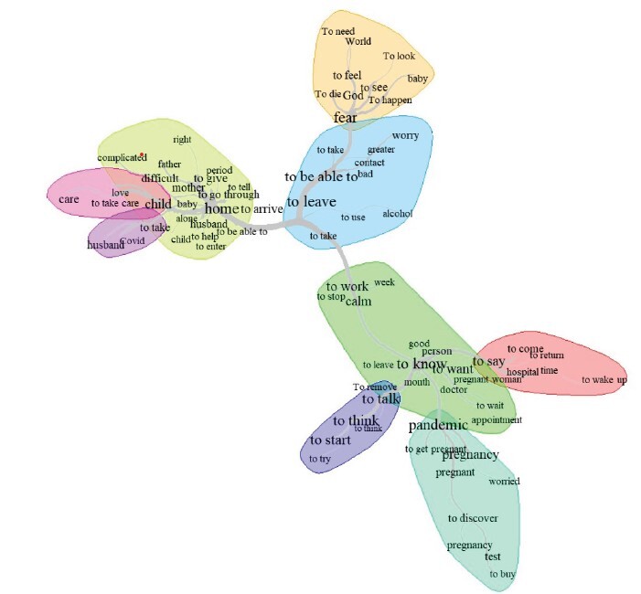 Therapeutic itinerary of pregnant women during COVID-19: a perspective based on healthcare systems.