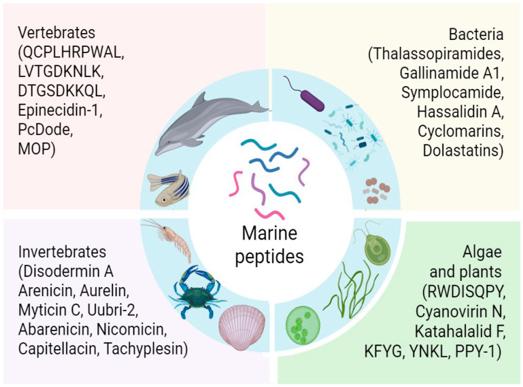 Multifaceted Marine Peptides and Their Therapeutic Potential.