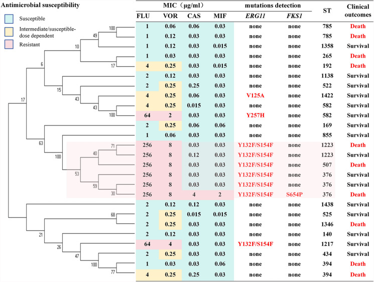 Clinical and Molecular Epidemiological Characteristics of 26 Bloodstream Infection Cases Caused by Candida tropicalis.