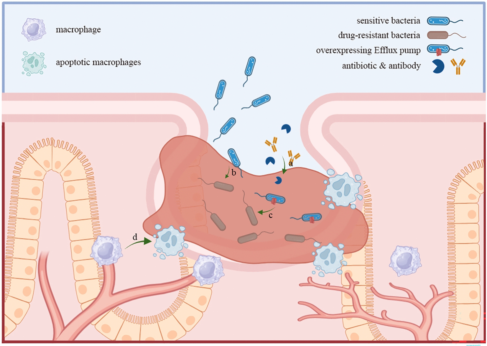Natural phytochemical-based strategies for antibiofilm applications.