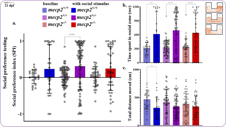 Zebrafish mecp2 null-mutation increases anxiety and cortisol levels but no change in adult social preference and larval chemically-induced hyperlocomotion.