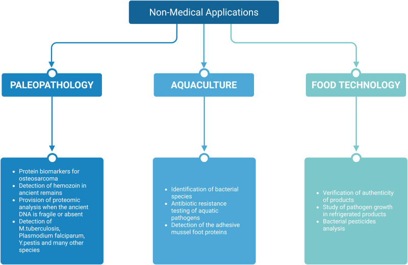 Innovations in MALDI-TOF Mass Spectrometry: Bridging modern diagnostics and historical insights.