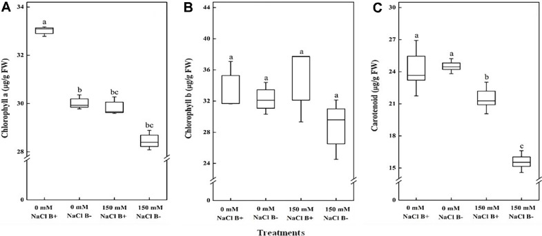 ACC Deaminase Producing <i>Methylobacterium oryzae</i> CBMB20 and Exogenous Trehalose Application Alleviate Salinity Stress in Arabidopsis.