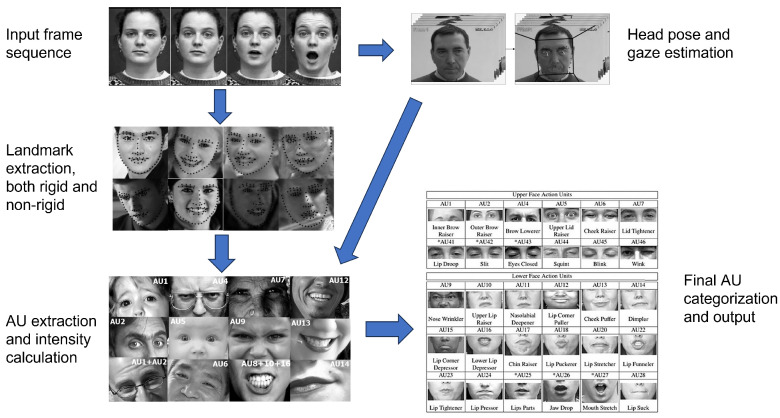 A Dual-Branch Fusion Model for Deepfake Detection Using Video Frames and Microexpression Features.