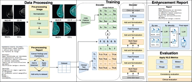 Hybrid framework for automated generation of mammography radiology reports.