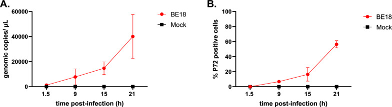 African swine fever virus infection of porcine peripheral blood monocyte-derived macrophages induces the formation of tunneling nanotube-connected large vesicle-like cell segments: a potential mechanism for intercellular ASFV trafficking.
