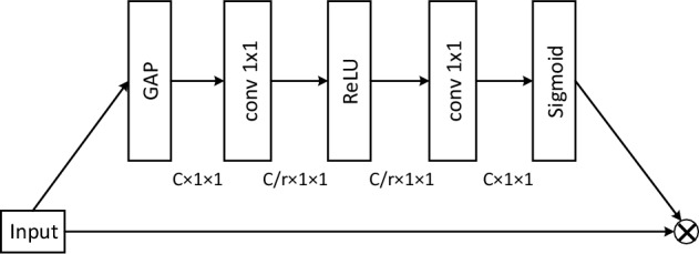 Stepwise self-knowledge distillation for skin lesion image classification.