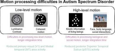 Motion Processing in ASD: From Low-Level Information to Higher-Level Social Information.