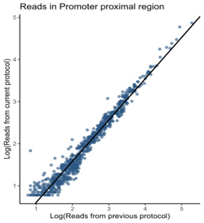 Fast TV-PRO-seq: Accelerated and Streamlined Protocol for Timing RNA Polymerase Pausing.