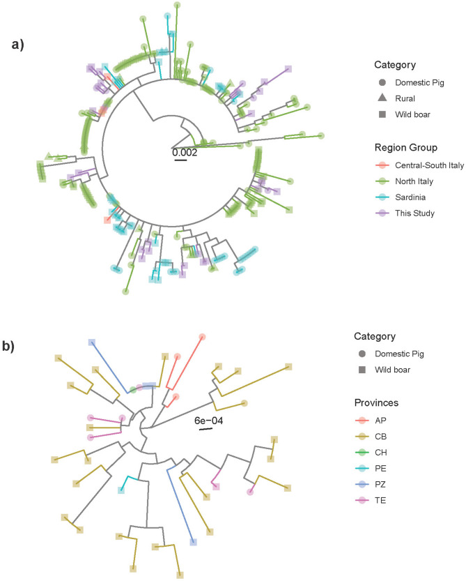 Molecular epidemiology and genetic characterization of PCV2 and PCV3 circulating in domestic pigs and wild boars in central-southern regions of Italy.