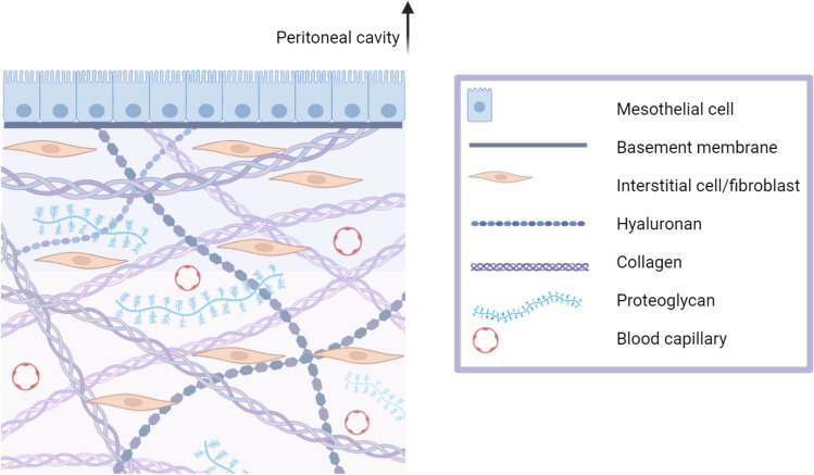 A Clinical Pharmacological Perspective on Intraperitoneal Chemotherapy.
