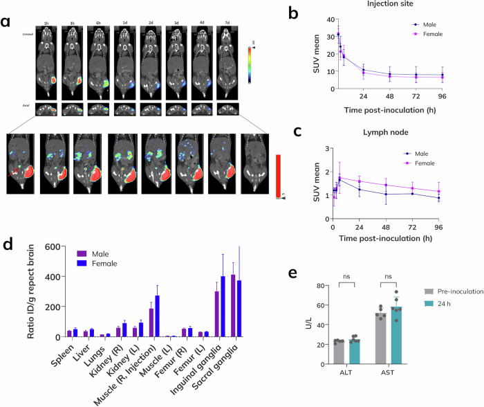 Preserved efficacy of lyophilized SARS-CoV-2 mRNA vaccine incorporating novel ionizable lipids after one year at 25 °C.