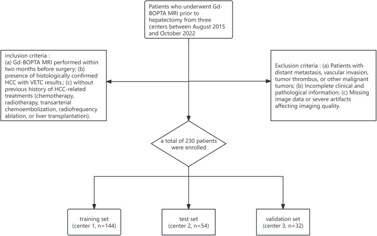 Multilayer perceptron deep learning radiomics model based on Gd-BOPTA MRI to identify vessels encapsulating tumor clusters in hepatocellular carcinoma: a multi-center study.