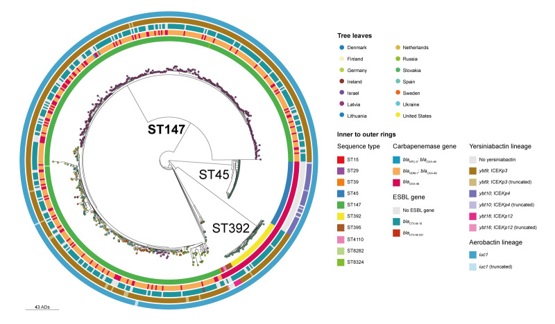 Cross-border spread of a mosaic resistance (OXA-48) and virulence (aerobactin) plasmid in <i>Klebsiella pneumoniae</i>: a European Antimicrobial Resistance Genes Surveillance Network investigation, Europe, February 2019 to October 2024.