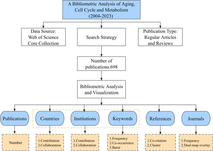 Bibliometric insights into the cell cycle, aging, and metabolism: from molecular mechanisms to clinical implications.
