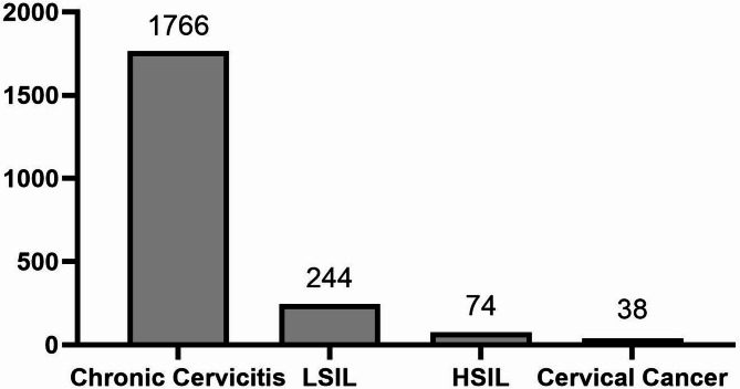 HPV prevalence and genotype distribution among women in sanming, China: a retrospective analysis before large-scale vaccination.
