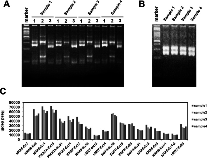 The Prevalence, Distribution, and Clinicopathological Features of Seven Lung Cancer Actionable Driver Mutations in Taiwan.