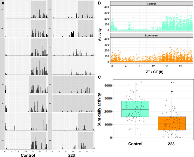 Circadian disruption impairs Leydig cell maturation and reproductive development in male rats.