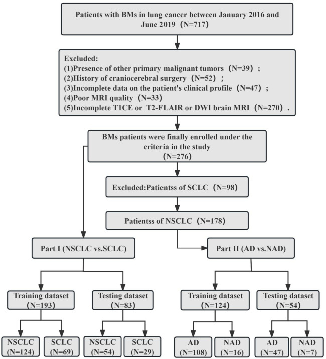 Identification of the pathological subtypes of lung cancer brain metastases with multiparametric MRI radiomics: A feasibility study.