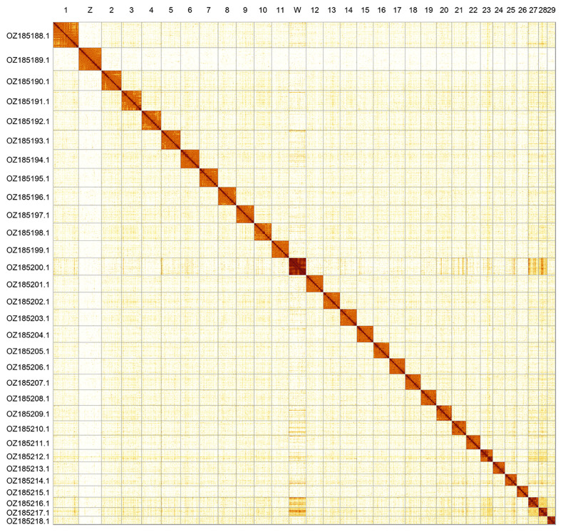 The genome sequence of the Cranberry Fritillary, <i>Boloria aquilonaris</i> (Stichel, 1908) (Lepidoptera: Nymphalidae).