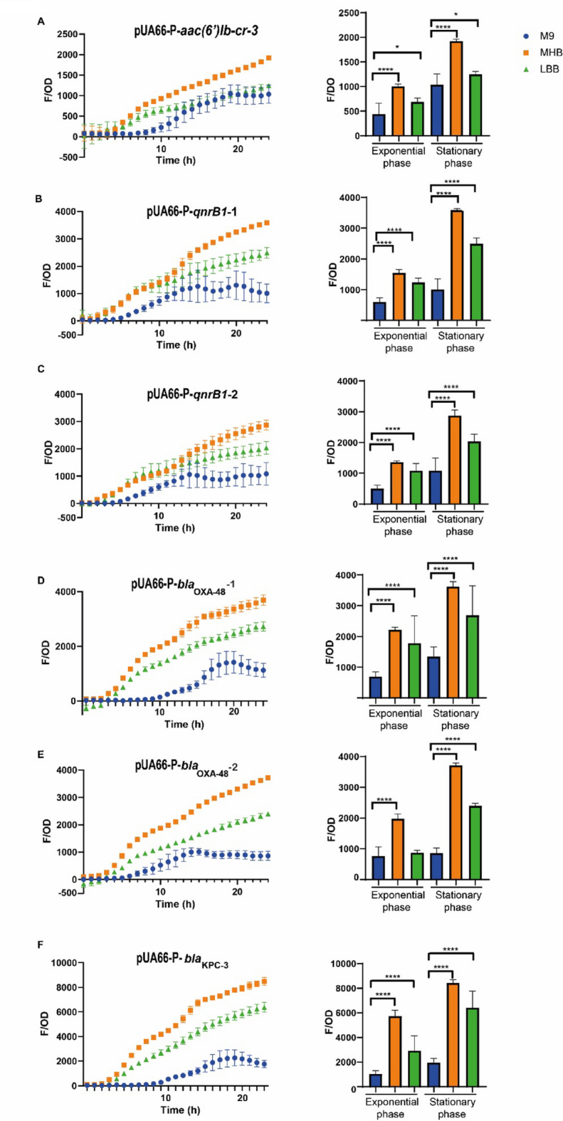 Implications of gene expression heterogeneity in the interplay between acquired resistance and bacterial metabolism.