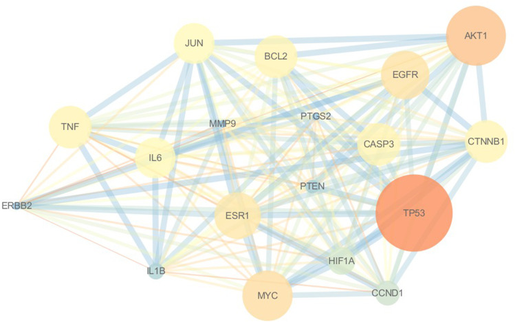 Exploring the Mechanism of Lianqiao Jinbei Decoction Inhibiting HER2-Positive Breast Cancer Based on Network Pharmacology and Experimental Verification.
