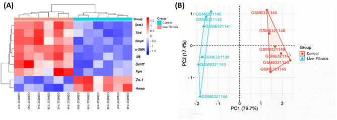 Comparative study of liver injury protection by Akkermansia muciniphila and Faecalibacterium prausnitzii interventions in live and cell-free supernatant forms via targeting the hepcidin - ferroportin axis in mice with CCl₄-induced liver fibrosis.