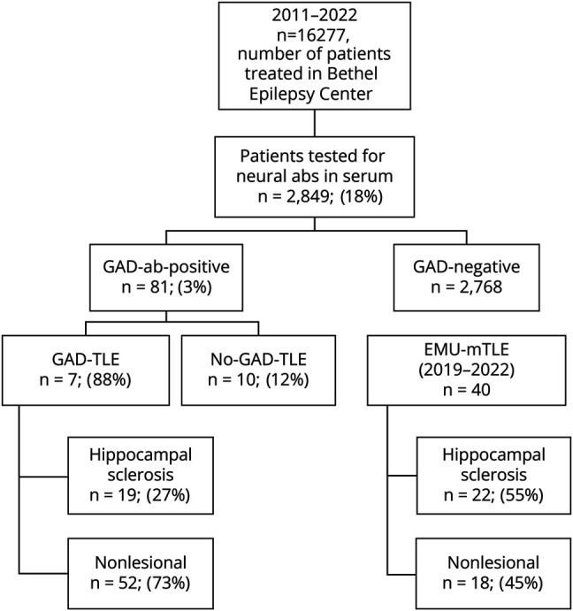 Temporal Lobe Epilepsy Associated With Glutamic Acid Decarboxylase Antibodies: Defining a Distinct Epilepsy Syndrome.