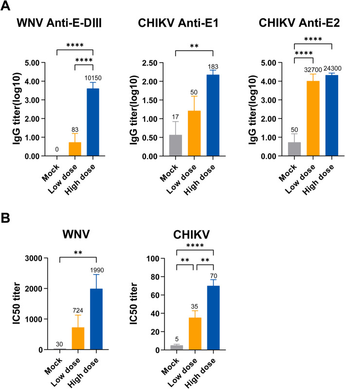 Humoral and cellular immune response to a single dose of a novel bivalent recombinant adenovirus-vector vaccine against West Nile virus and chikungunya virus in mice.