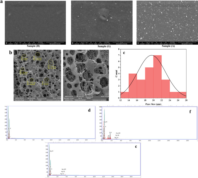 Biodegradable chitosan/PVA-based hydrogel incorporating green synthesized silver nanoparticles for wound healing applications.