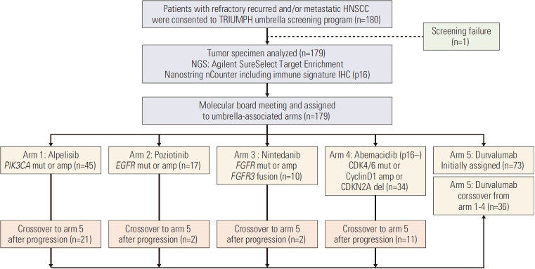 Clinical Impact of TP53 Mutations in Patients with Head and Neck Cancer Who Were Treated with Targeted Therapies or Immunotherapy.