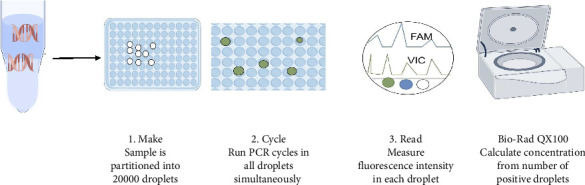 A Critical Review of the CRISPR-Cas Technology in the Detection of SARS-CoV-2 Variants.