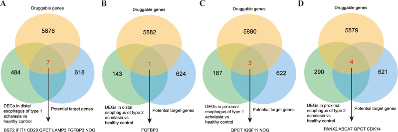 Identification of potential drug targets for achalasia from genetic insights: a Mendelian randomization study.