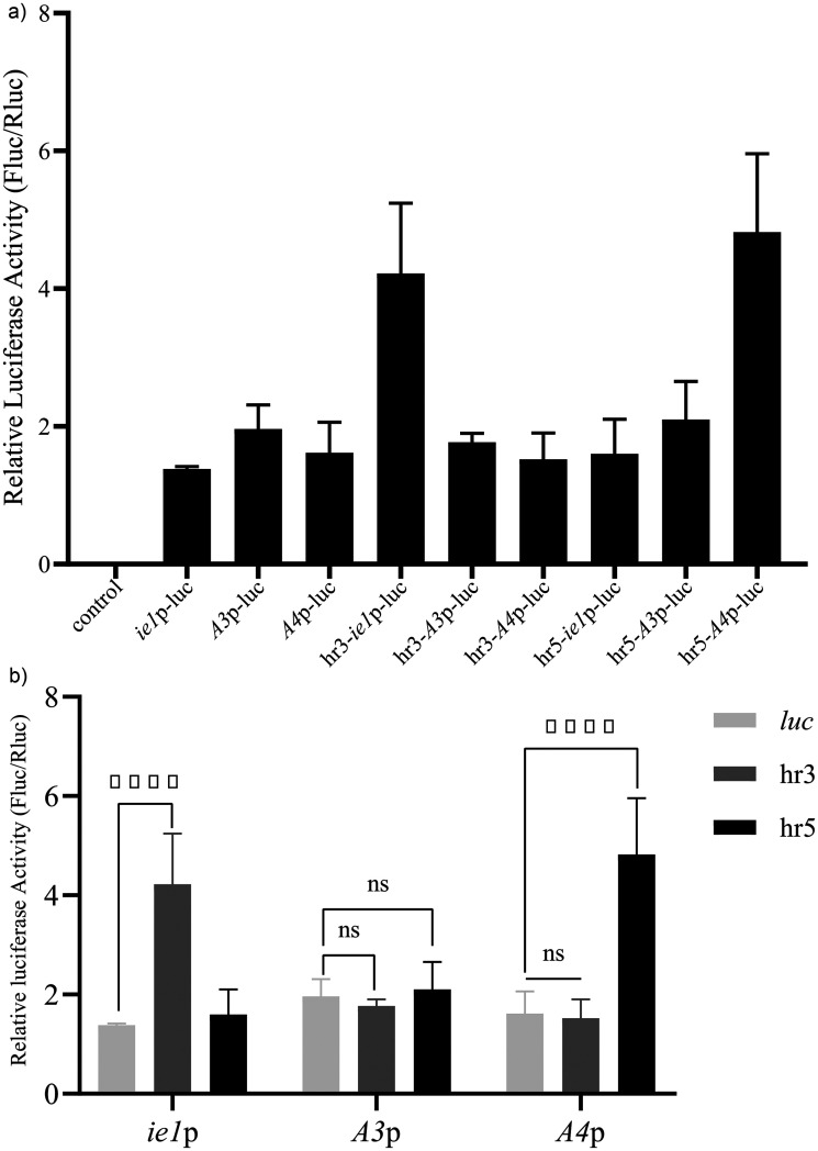 Construction of synthetic constitutive promoters and evaluation of their expression strengths in Sf9, HEK293T, and BmN cells.