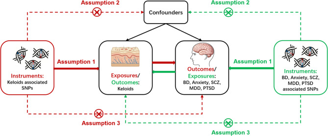 Association between keloid and mental disorders: perspective from genetic evidence.