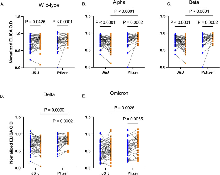 Functional antibody responses to SARS-CoV-2 variants before and after booster vaccination among adults in Ghana.