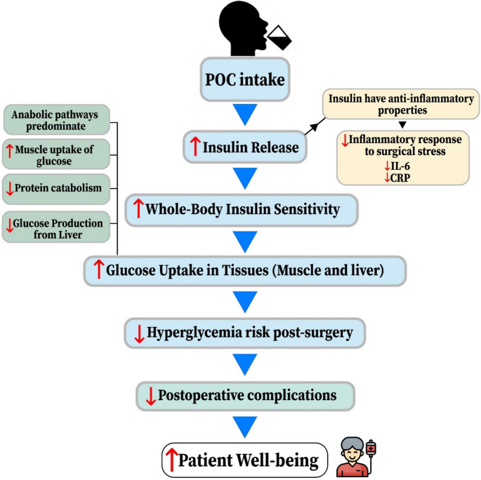 The effect of preoperative oral carbohydrate intake on perioperative well-being in patients undergoing hip and lower extremity orthopedic surgery under spinal anesthesia: a randomized controlled trial.