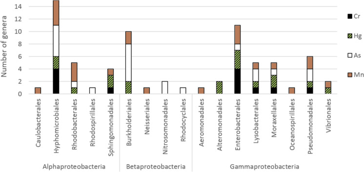 Biotransformation of As, Cr, Hg, and Mn by Pseudomonadota: chances and risks