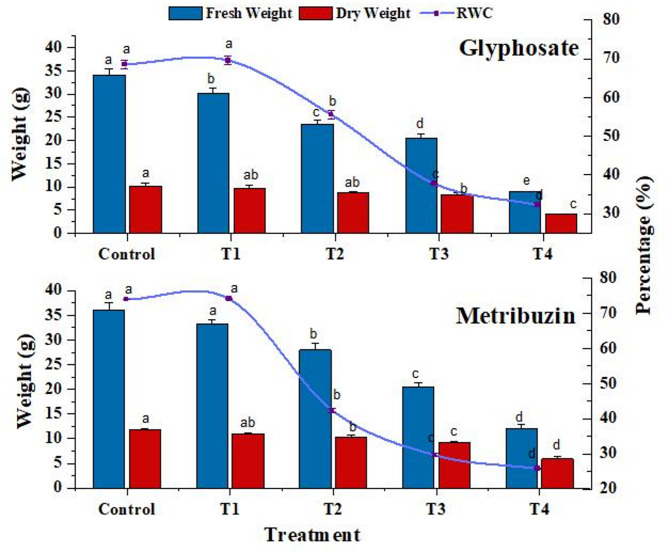 Unravelling herbicide stress and its impact on metabolite profiling in Cannabis sativa: an investigative study.