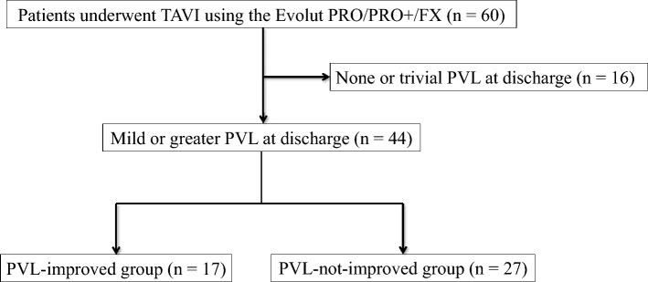 The relationship between chronic expansion of self-expandable valves and paravalvular leakage in transcatheter aortic valve implantation.