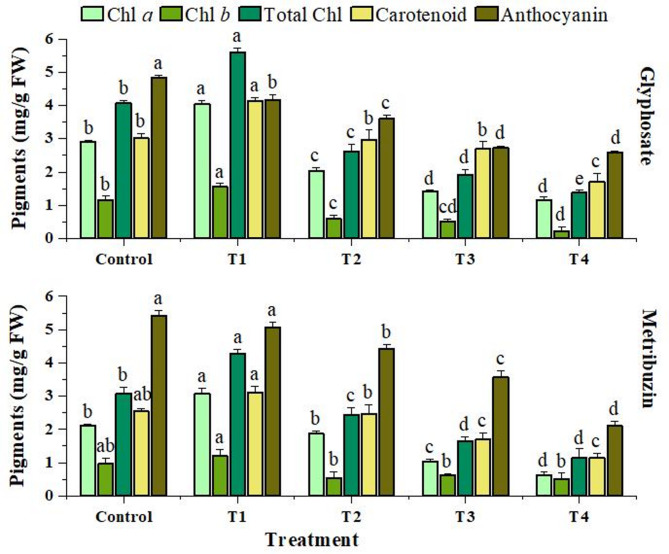 Unravelling herbicide stress and its impact on metabolite profiling in Cannabis sativa: an investigative study.