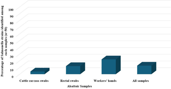 Pan-drug, colistin, streptomycin, erythromycin, clindamycin resistant Salmonella enterica serovars isolated from slaughtered cattle and human in mansoura, Egypt.